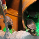 Image for article titled You Will Never Get Any Work Done on This Amazingly Distracting Ninja Turtles Origins Desk